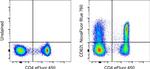 CD62L (L-Selectin) Antibody in Flow Cytometry (Flow)