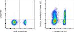 CD62L (L-Selectin) Antibody in Flow Cytometry (Flow)