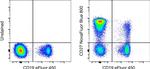 CD27 Antibody in Flow Cytometry (Flow)