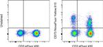 CD73 Antibody in Flow Cytometry (Flow)