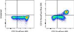 CD14 Antibody in Flow Cytometry (Flow)