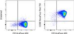 CD86 (B7-2) Antibody in Flow Cytometry (Flow)