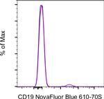 CD19 Antibody in Flow Cytometry (Flow)