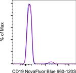 CD19 Antibody in Flow Cytometry (Flow)