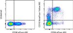 CD16 Antibody in Flow Cytometry (Flow)