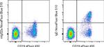 IgD Antibody in Flow Cytometry (Flow)