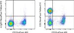 CD3 Antibody in Flow Cytometry (Flow)