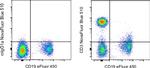 CD3 Antibody in Flow Cytometry (Flow)