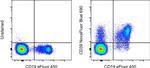 CD39 Antibody in Flow Cytometry (Flow)