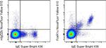 FceR1 alpha Antibody in Flow Cytometry (Flow)