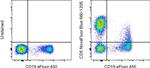 CD5 Antibody in Flow Cytometry (Flow)