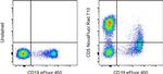 CD5 Antibody in Flow Cytometry (Flow)