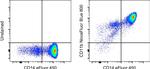 CD11b Antibody in Flow Cytometry (Flow)