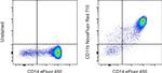 CD11b Antibody in Flow Cytometry (Flow)