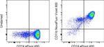 CD11b Antibody in Flow Cytometry (Flow)