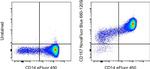 CD157 Antibody in Flow Cytometry (Flow)