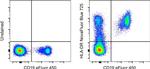 HLA-DR Antibody in Flow Cytometry (Flow)