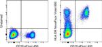 HLA-DR Antibody in Flow Cytometry (Flow)