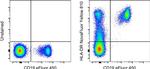 HLA-DR Antibody in Flow Cytometry (Flow)