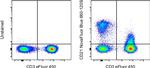 CD21 Antibody in Flow Cytometry (Flow)