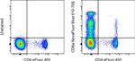 CD8a Antibody in Flow Cytometry (Flow)