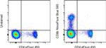 CD8b Antibody in Flow Cytometry (Flow)