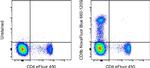 CD8b Antibody in Flow Cytometry (Flow)