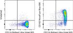 CD163 Antibody in Flow Cytometry (Flow)