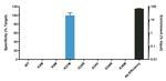 H3.3 K27M oncohistone mutant Antibody in ChIP Assay (ChIP)