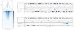 H3K27ac Antibody in ChIP-Sequencing (ChIP-seq)