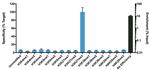 H3K27me3 Antibody