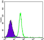 HK2 Antibody in Flow Cytometry (Flow)