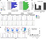 HLA-A2 Antibody in Flow Cytometry (Flow)