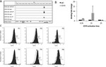 CD74 Antibody in Flow Cytometry (Flow)