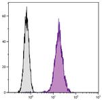 CD81 Antibody in Flow Cytometry (Flow)