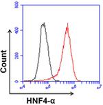 HNF4A Antibody in Flow Cytometry (Flow)