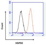 HSP60 Antibody in Flow Cytometry (Flow)