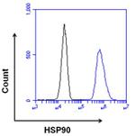 HSP90 beta Antibody in Flow Cytometry (Flow)