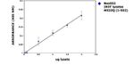 Huntingtin Antibody in ELISA (ELISA)