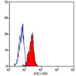 ICAM-1 Antibody in Flow Cytometry (Flow)