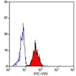 ICAM-1 Antibody in Flow Cytometry (Flow)