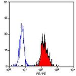 ICAM-1 Antibody in Flow Cytometry (Flow)