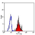 ICAM-1 Antibody in Flow Cytometry (Flow)