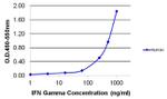 IFN gamma Antibody in ELISA (ELISA)