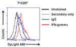 IFN gamma Antibody in Flow Cytometry (Flow)