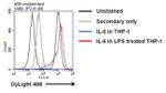 IL-6 Antibody in Flow Cytometry (Flow)