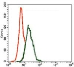 INCENP Antibody in Flow Cytometry (Flow)