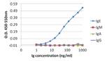 Human IgE Secondary Antibody in ELISA (ELISA)