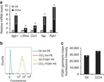 CD29 (Integrin beta 1) Antibody in Flow Cytometry (Flow)