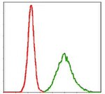 KCNQ1 Antibody in Flow Cytometry (Flow)